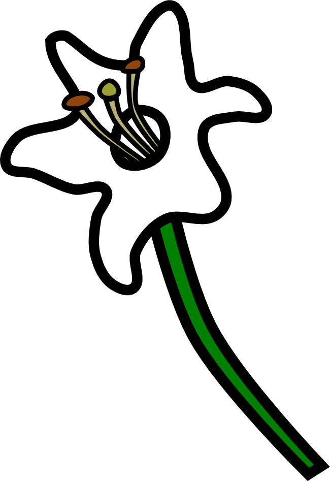 Lys