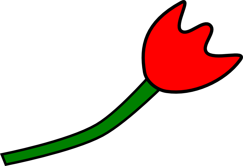 Tulipe cote droit