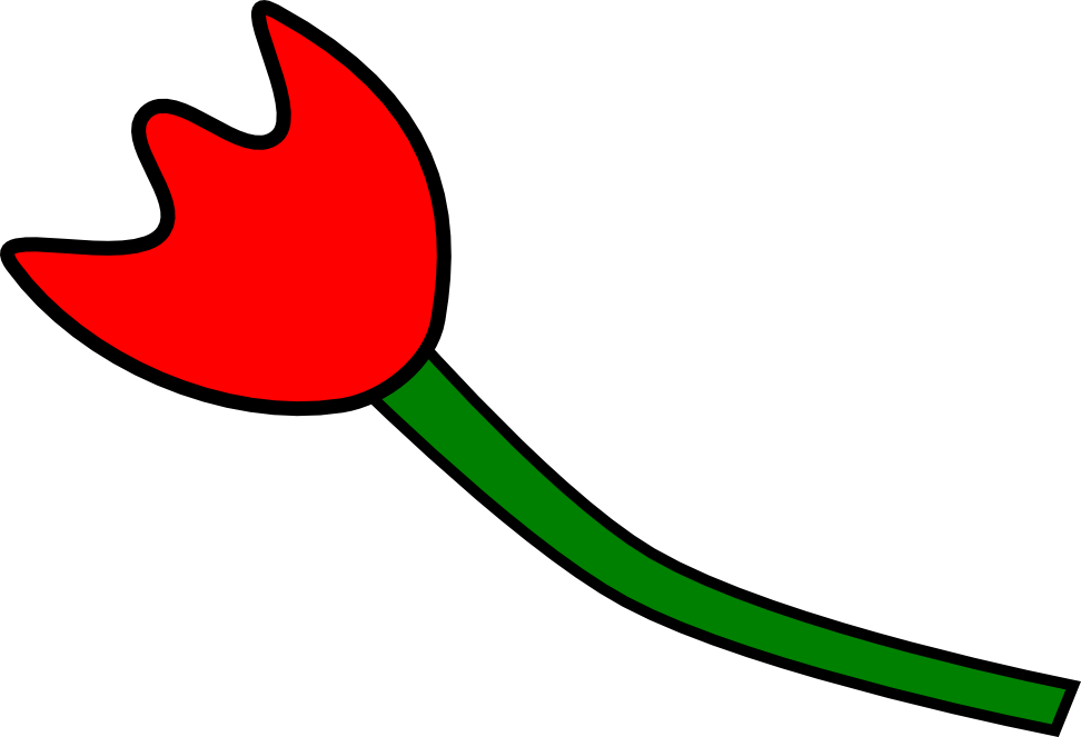 Tulipe cote gauche
