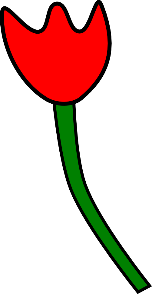Tulipe