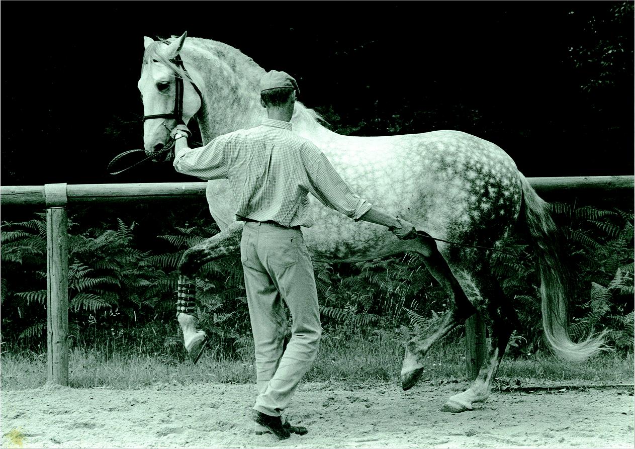 Olivier 3 2