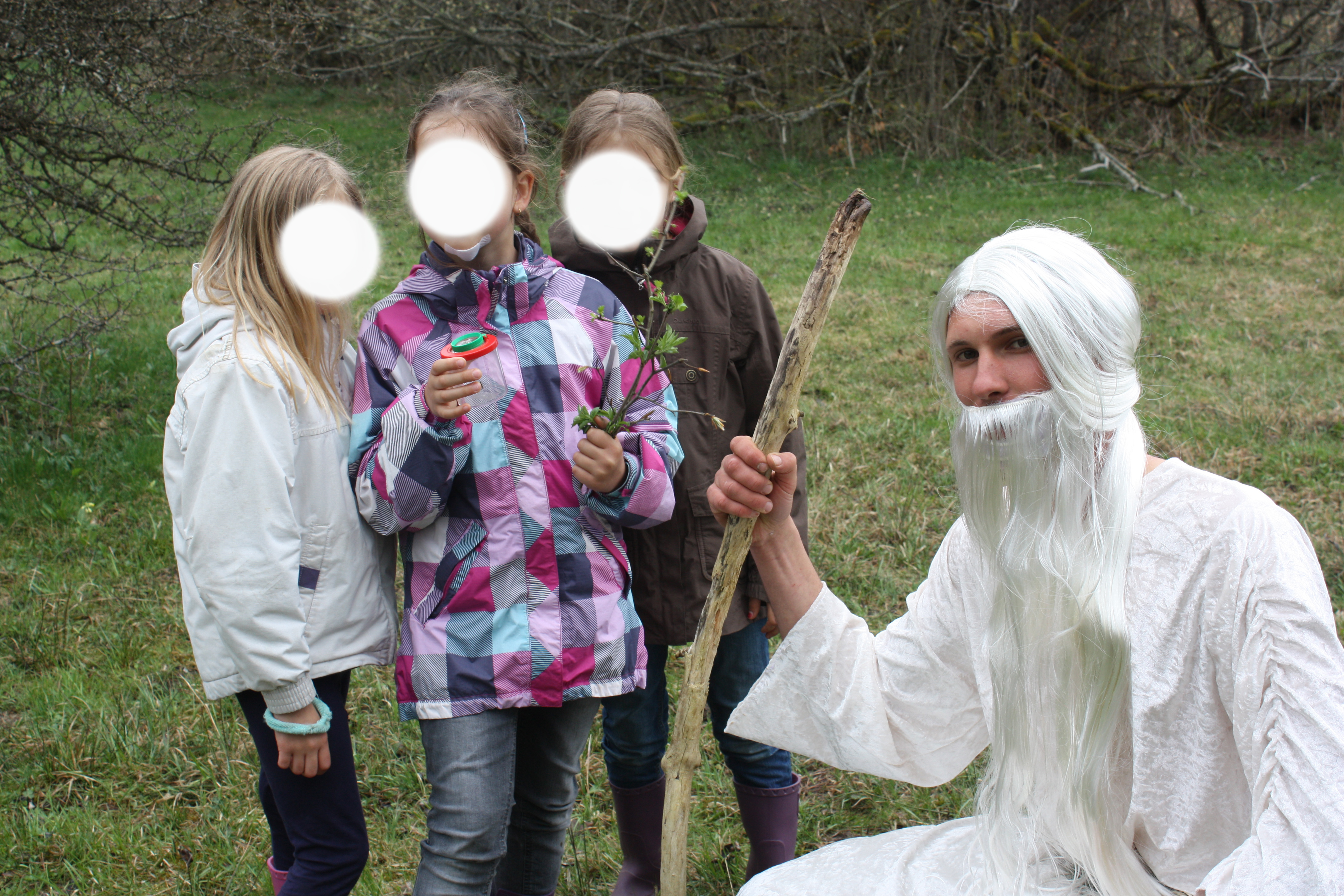 Recherche d insectes et de plantes sauvages blanc