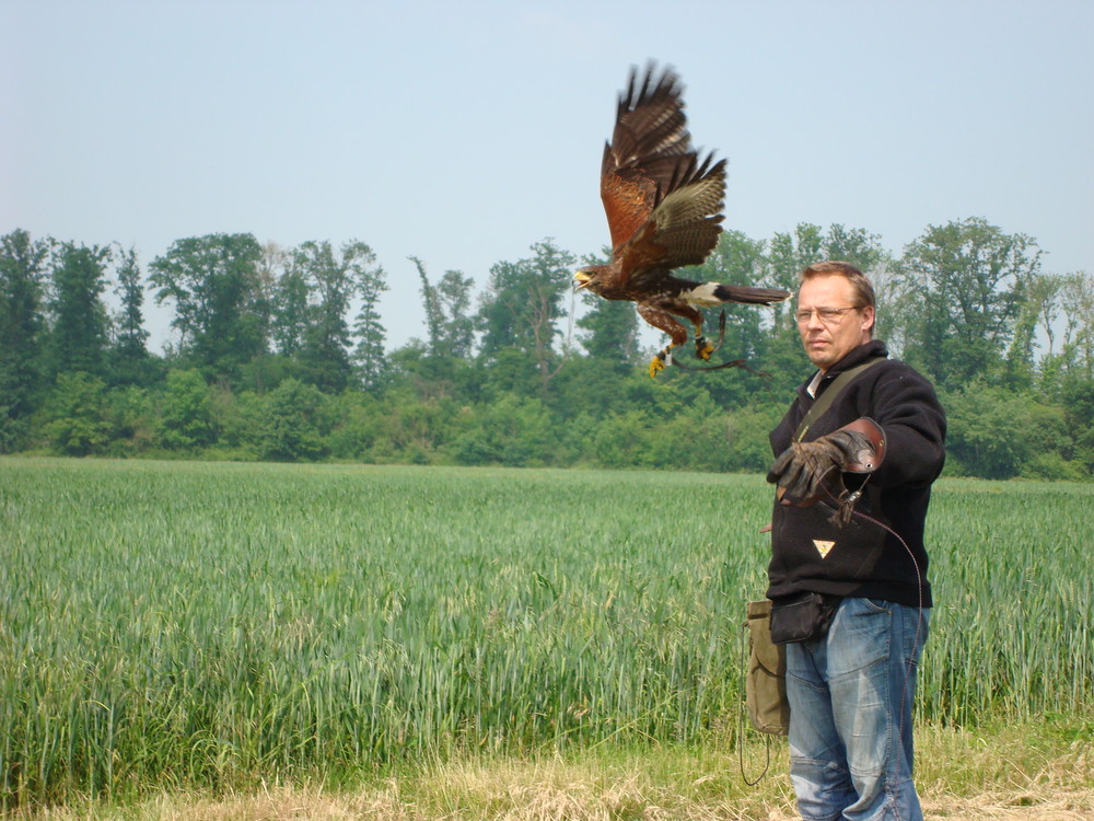 Oiseaux entrainement 004