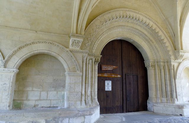 Pons 14 