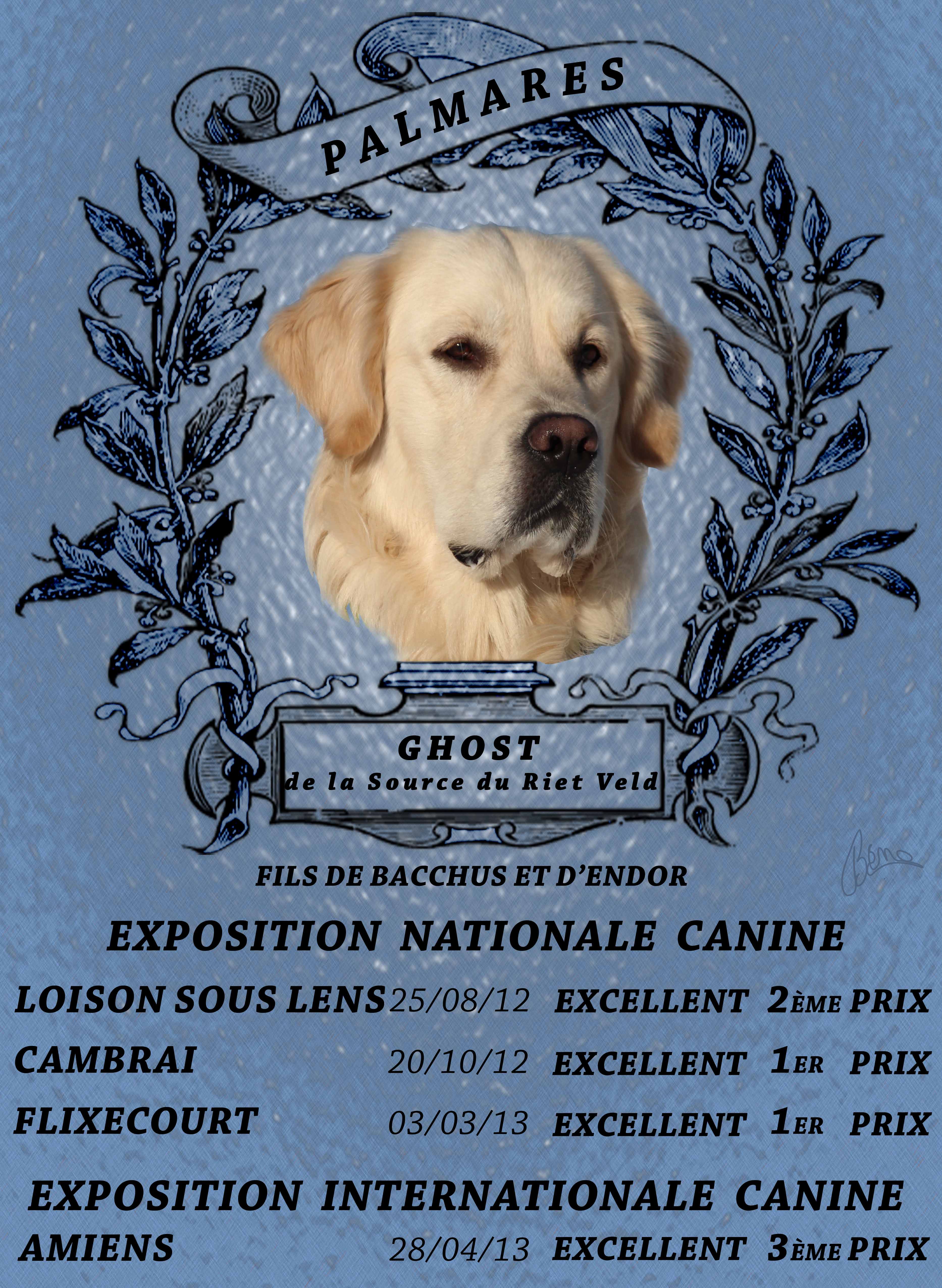 Ghost amiens 20130428