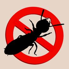 Stop termites