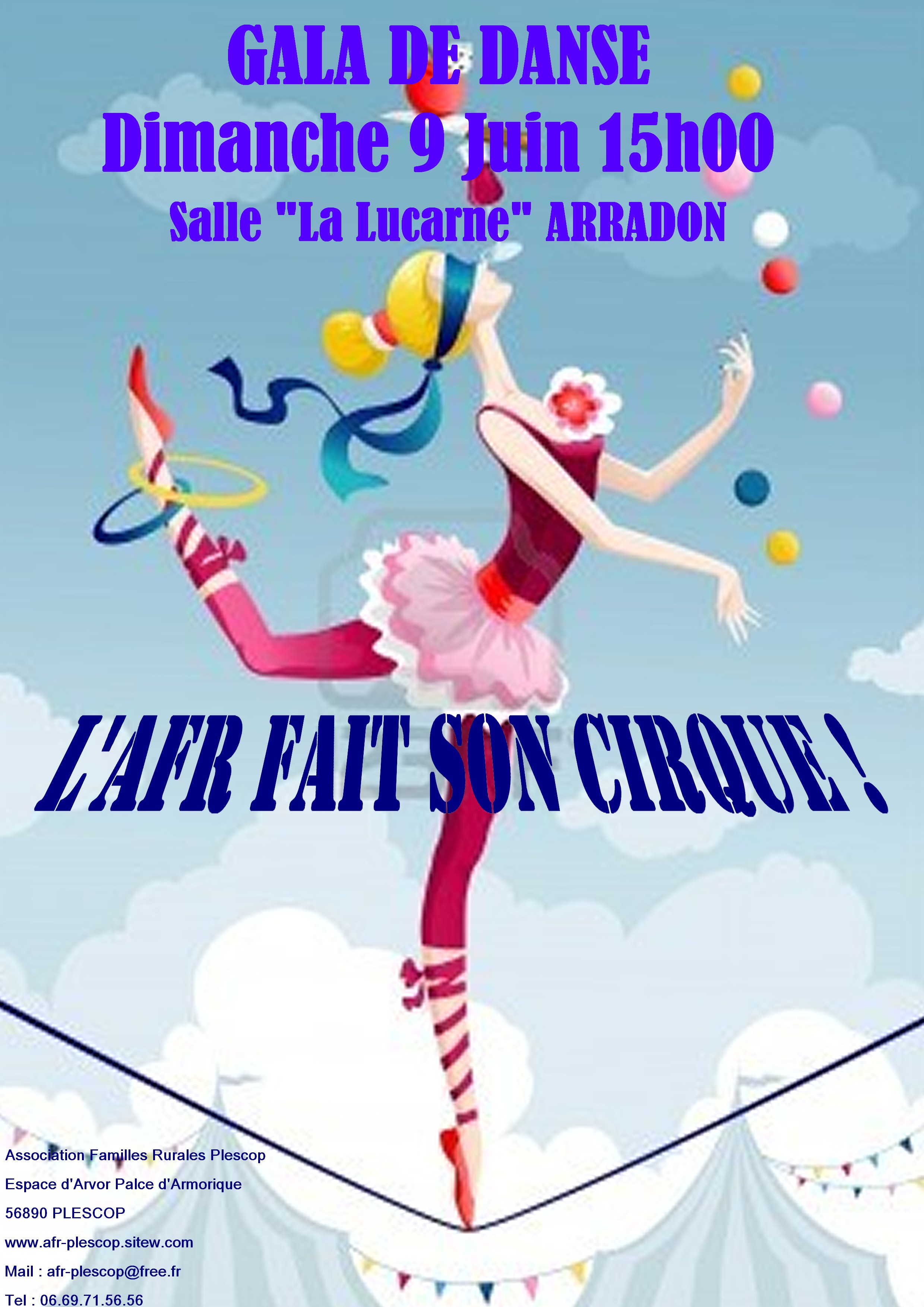 Affiche gala 2013