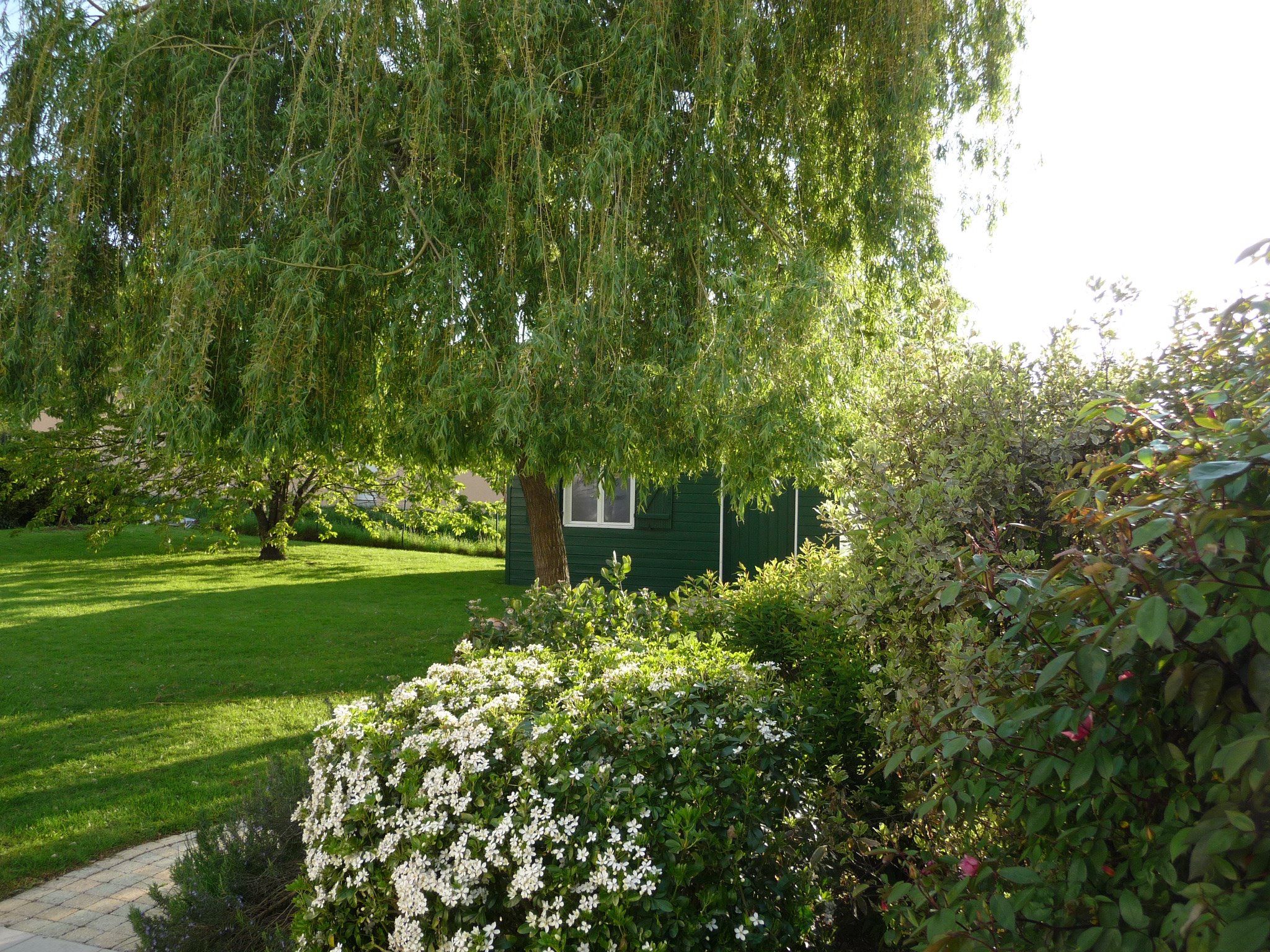 477400 3533226703766 1953650075 o 1 