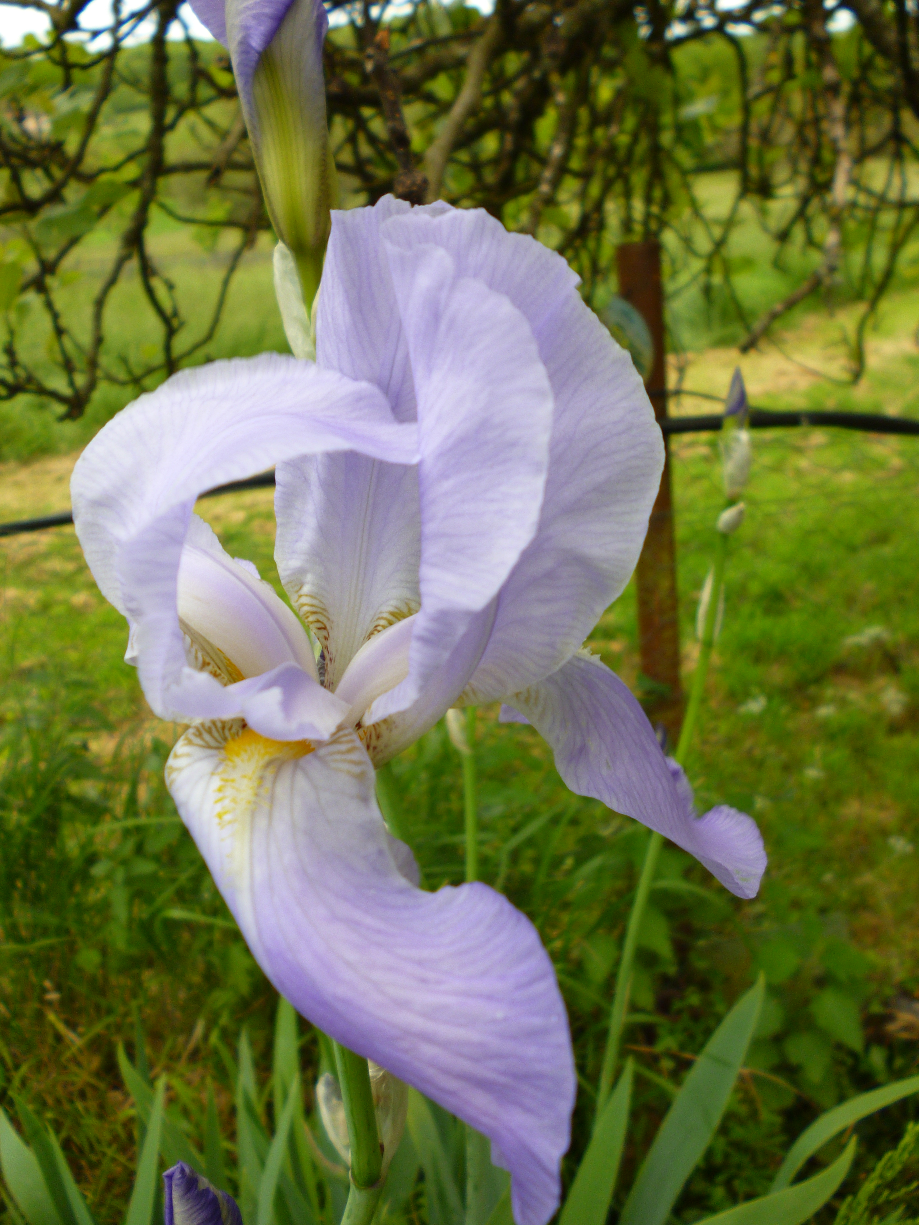 P1020255