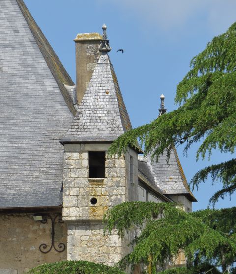 Bonnes 8 
