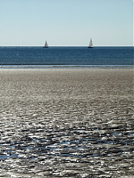 Paysage