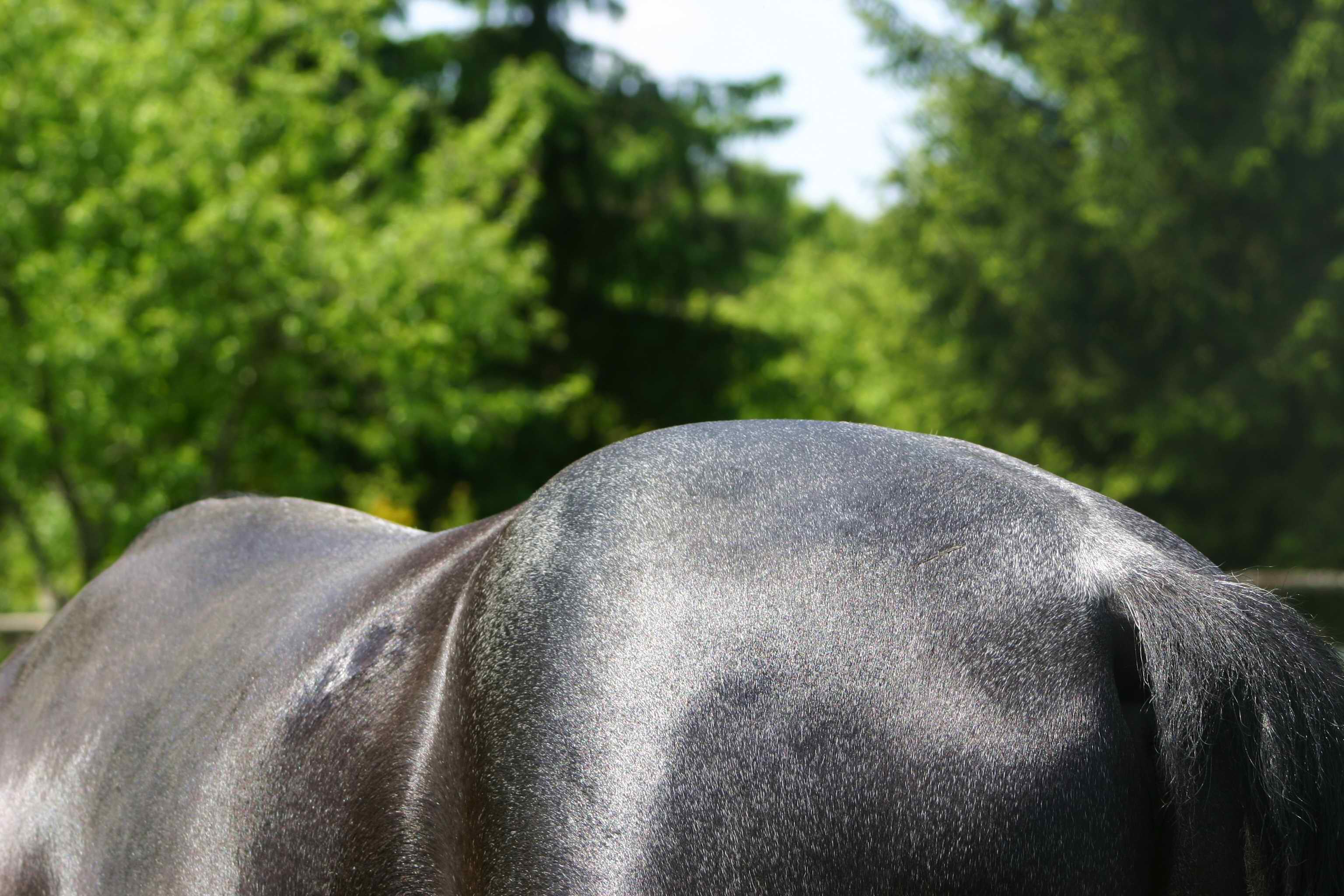 Stage methode respect harmonie3r