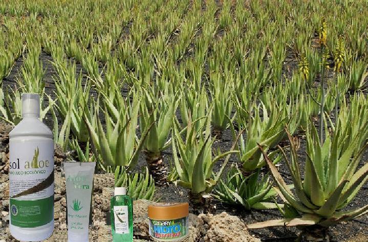 aloe avec produits