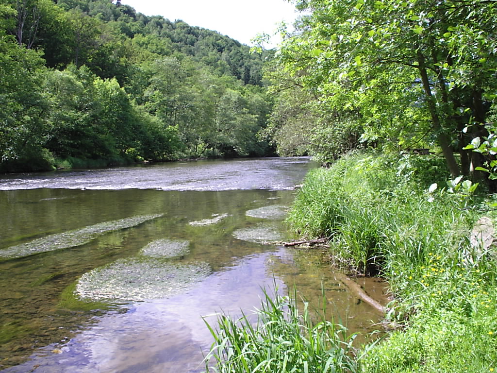 IMG 0012