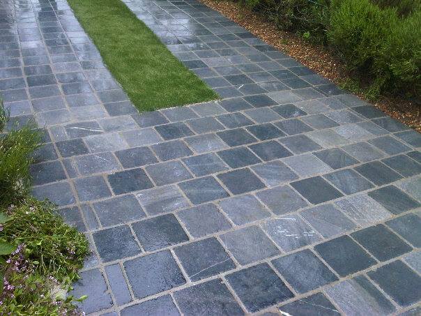 995037 10201315763359890 685938168 n