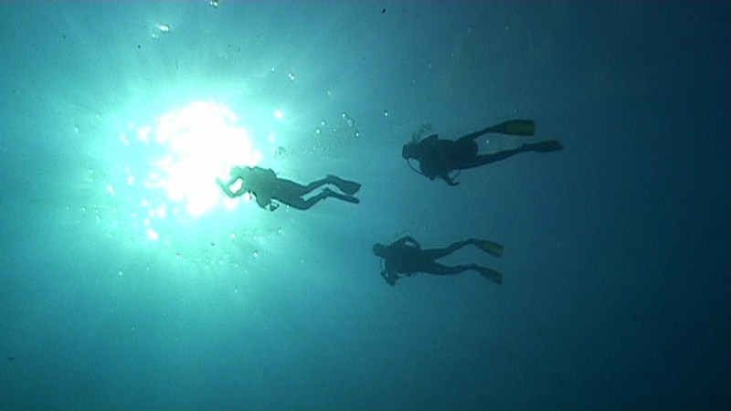 Underwater Images Koh Phangan Thailand 10
