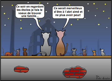 Nouvelle famille