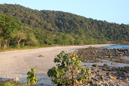 Bamboobeach