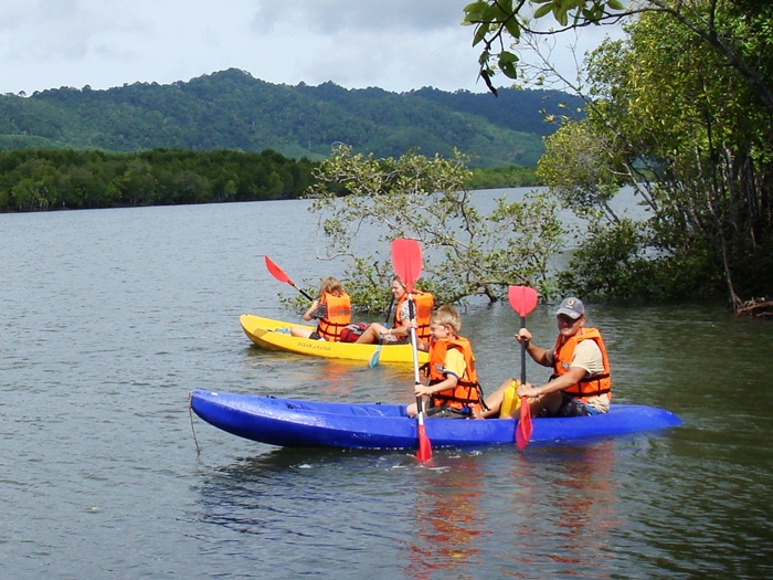 Kayakmangroves