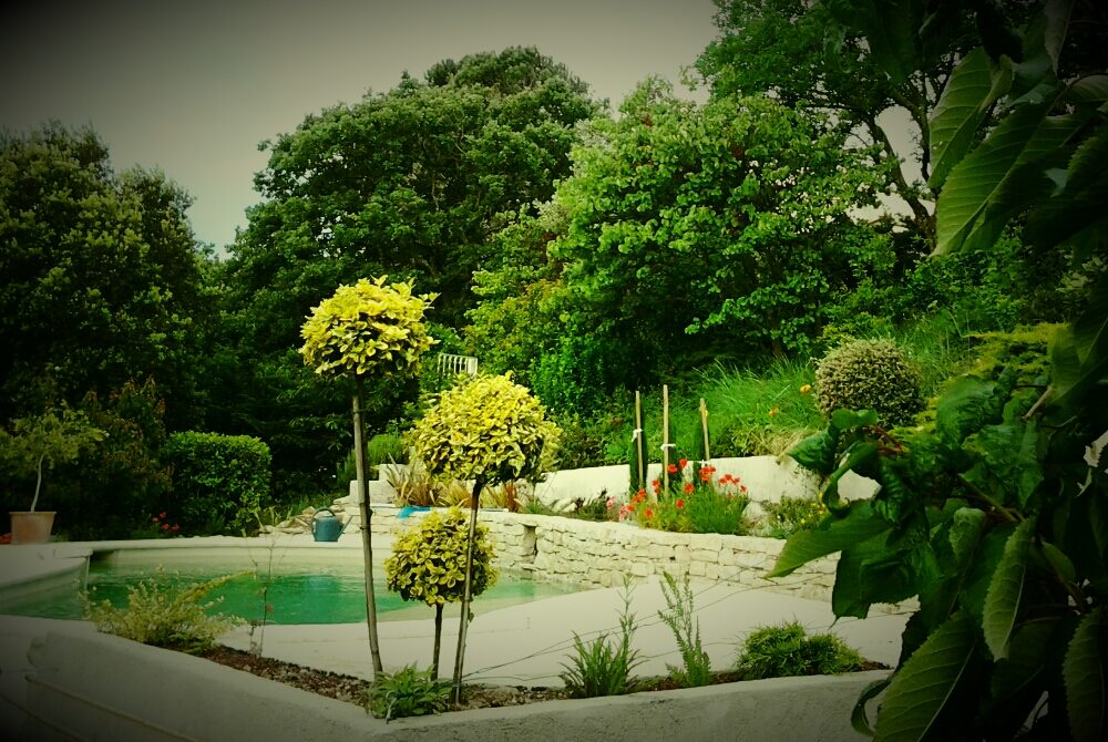 Carte postale2