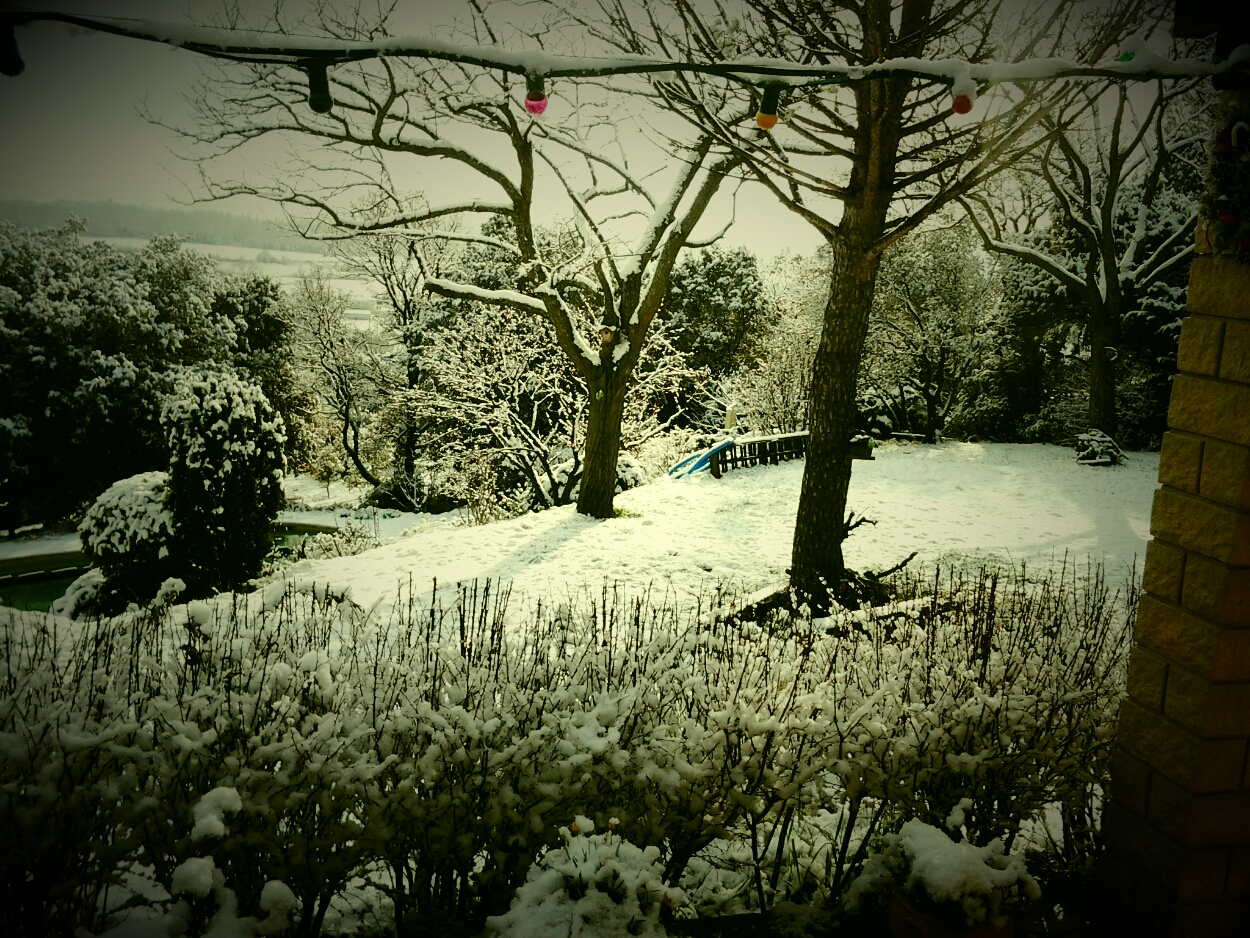 Carte postale3