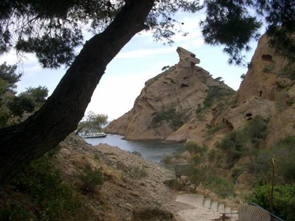 L a ciotat 15