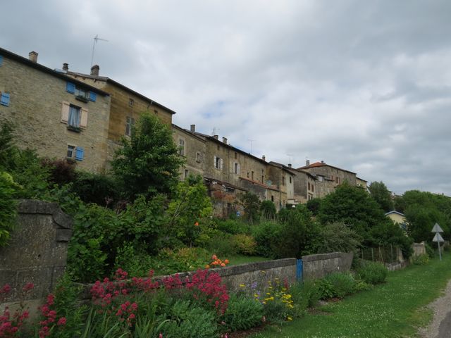 55ville 11 