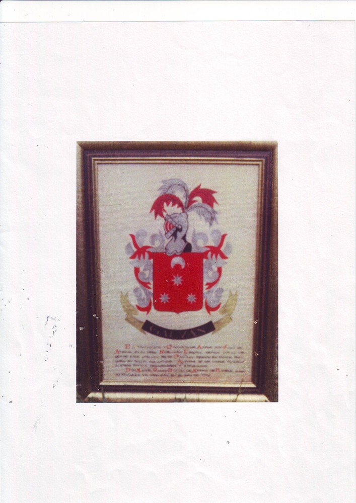 Escudo Galvan con ocho muntas