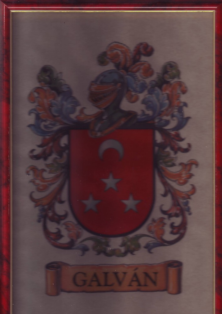 Escudo Galvan 2