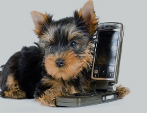 Telephone