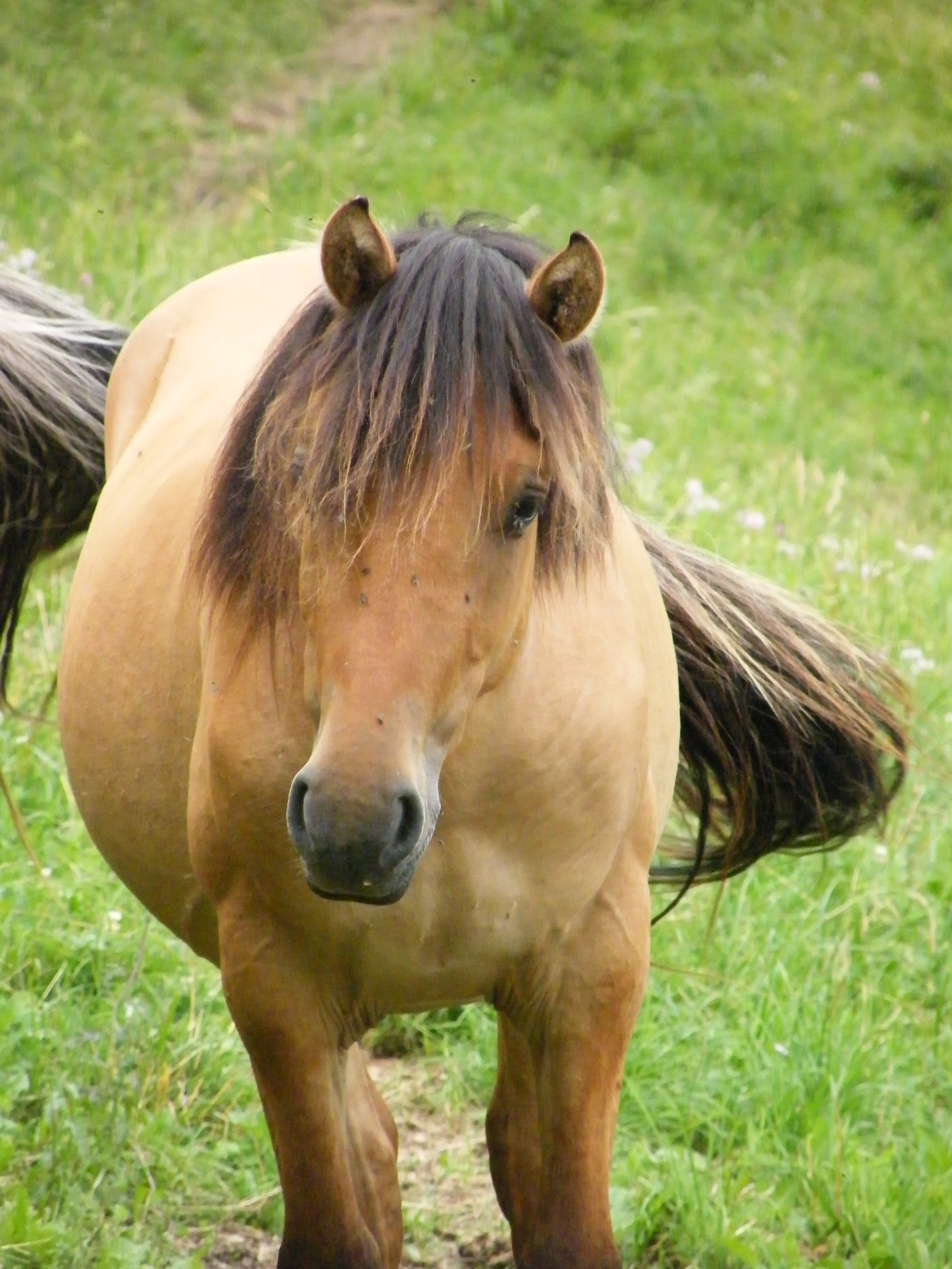 Dscf3964