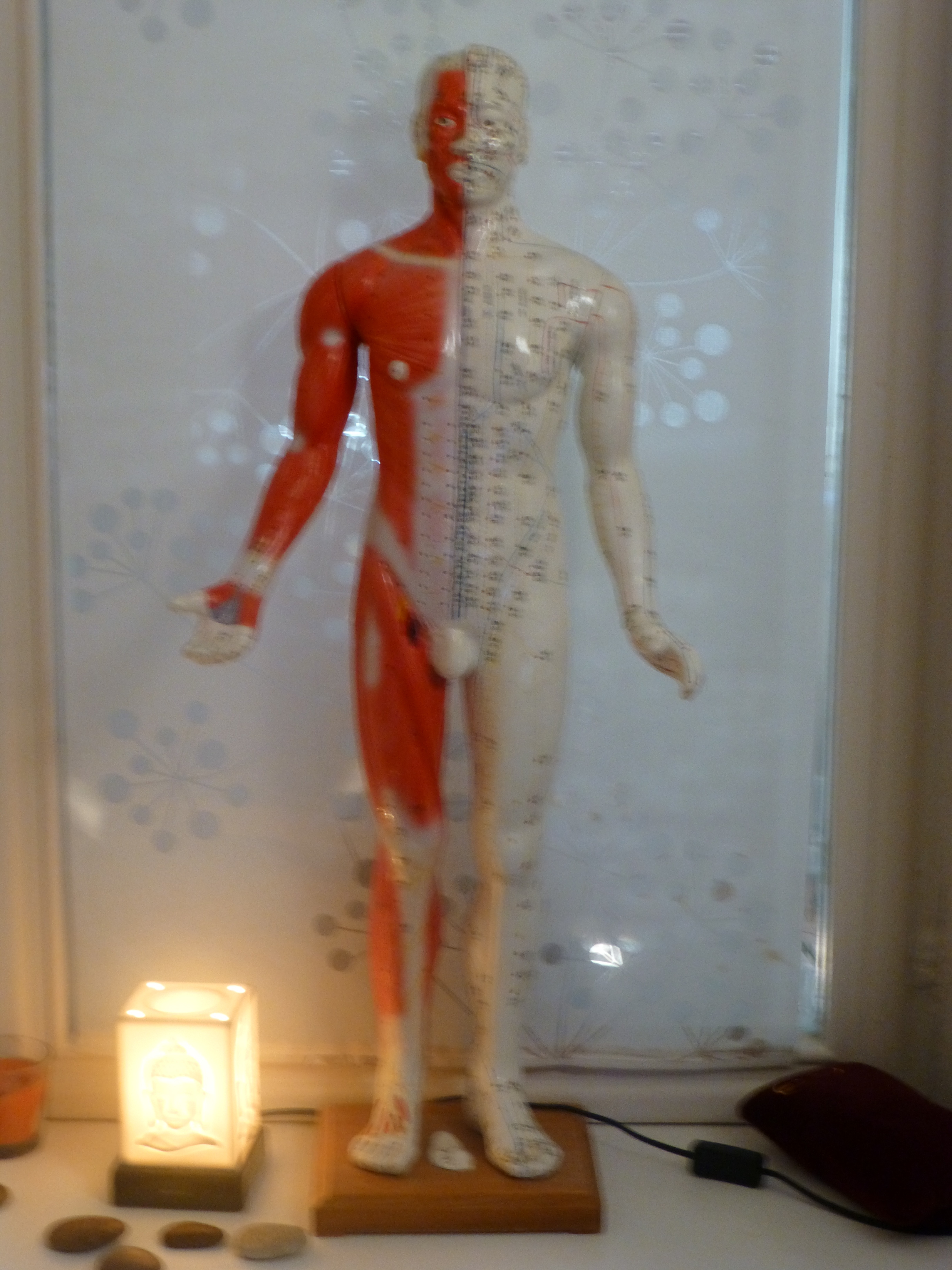 P1030091
