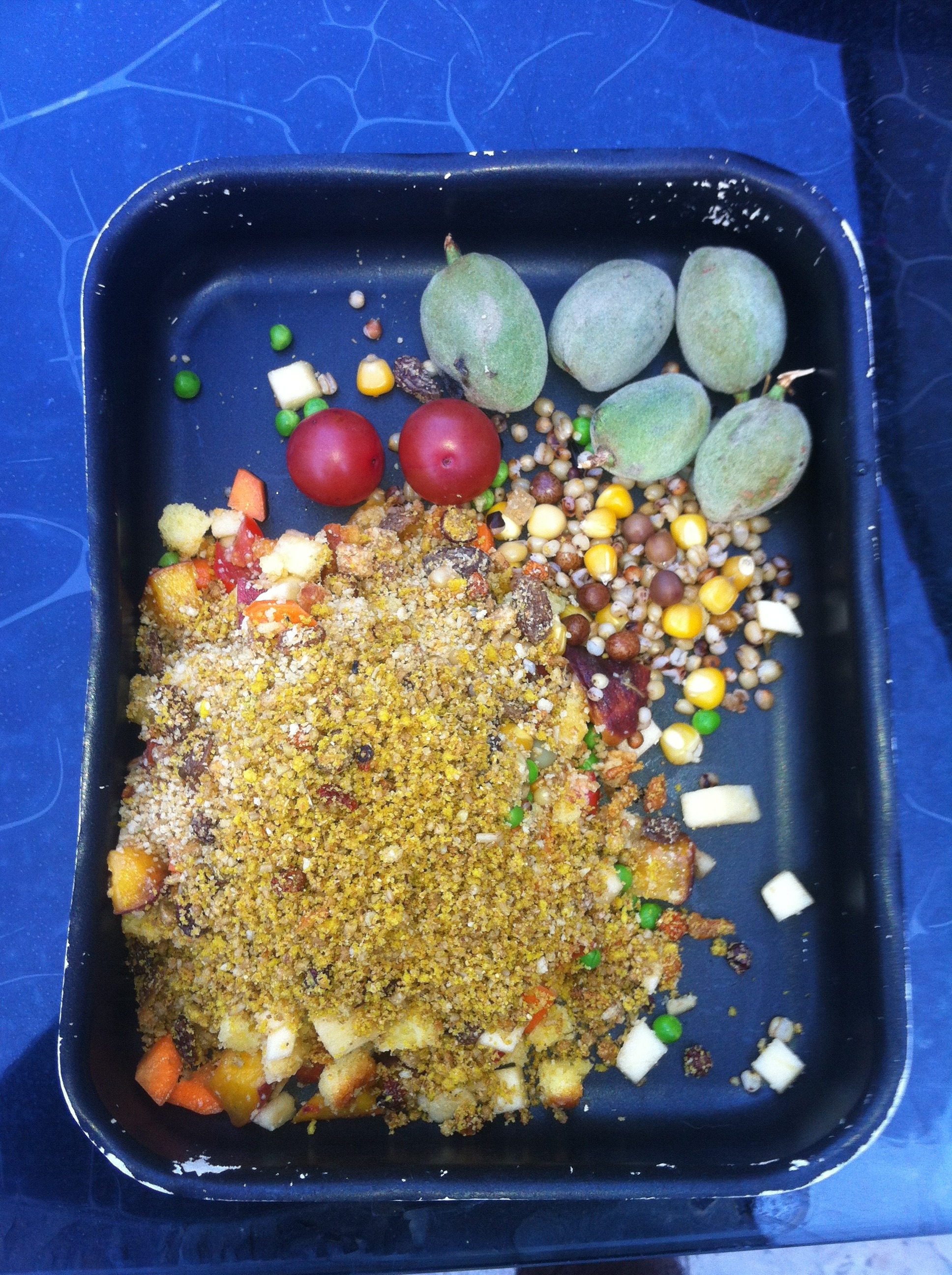 Alimentation pour perroquets