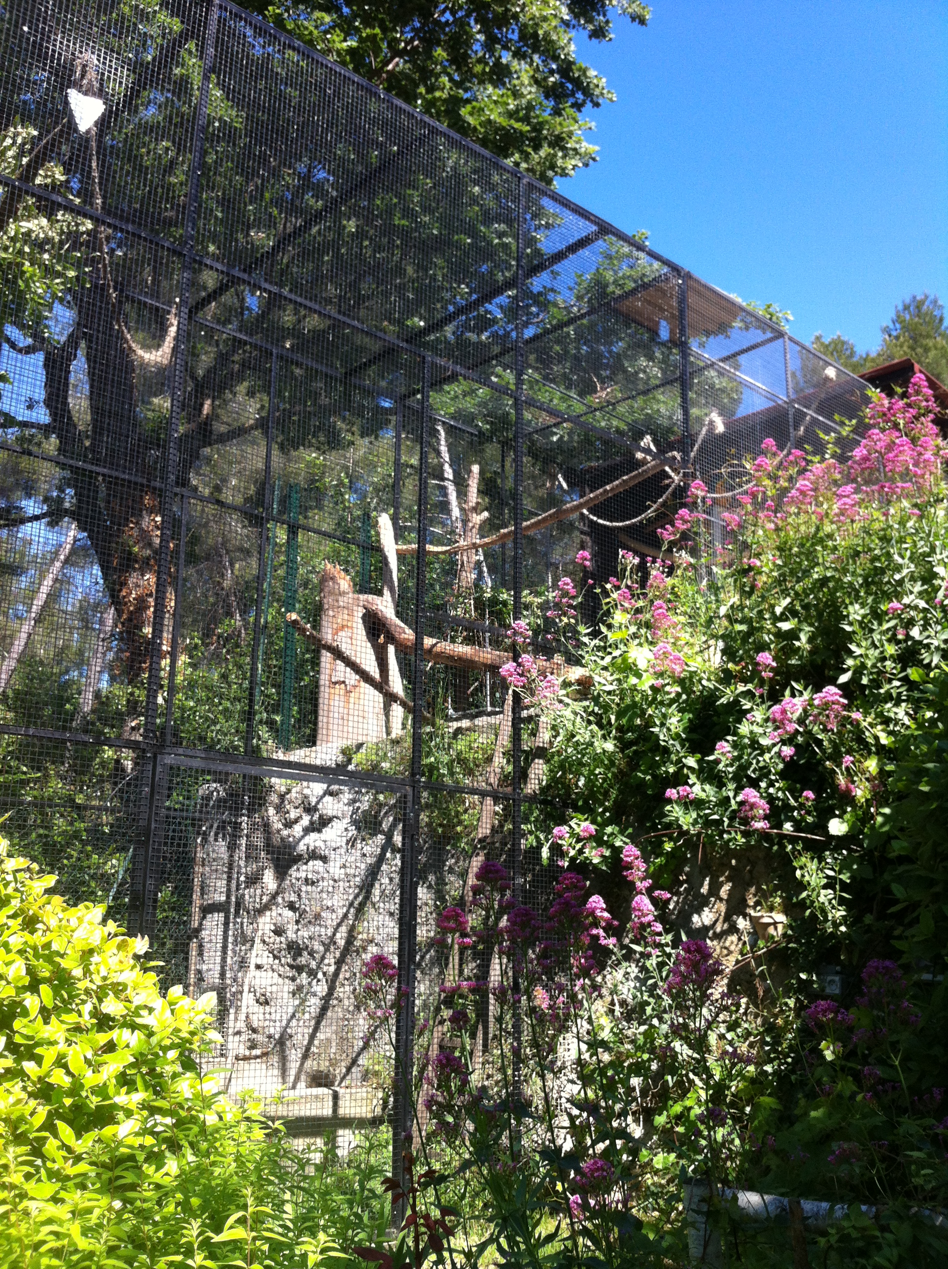 Volière pour perroquet