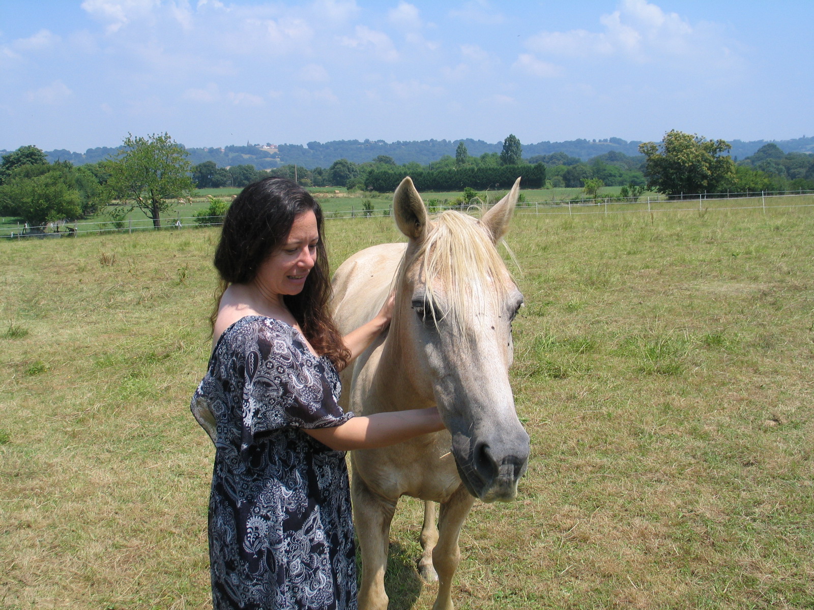 Chevaux 028