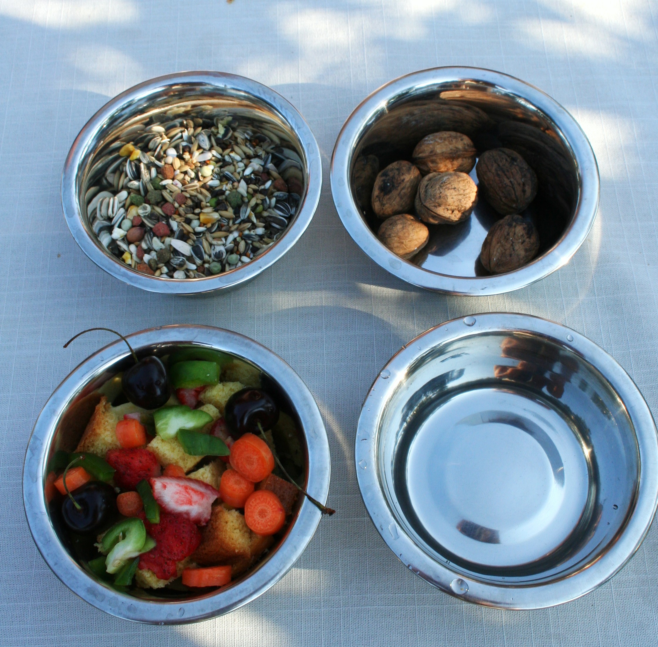 Voila un exemple d'une ration journaliere pour nos aras