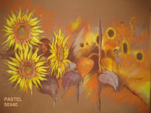 Tournesols