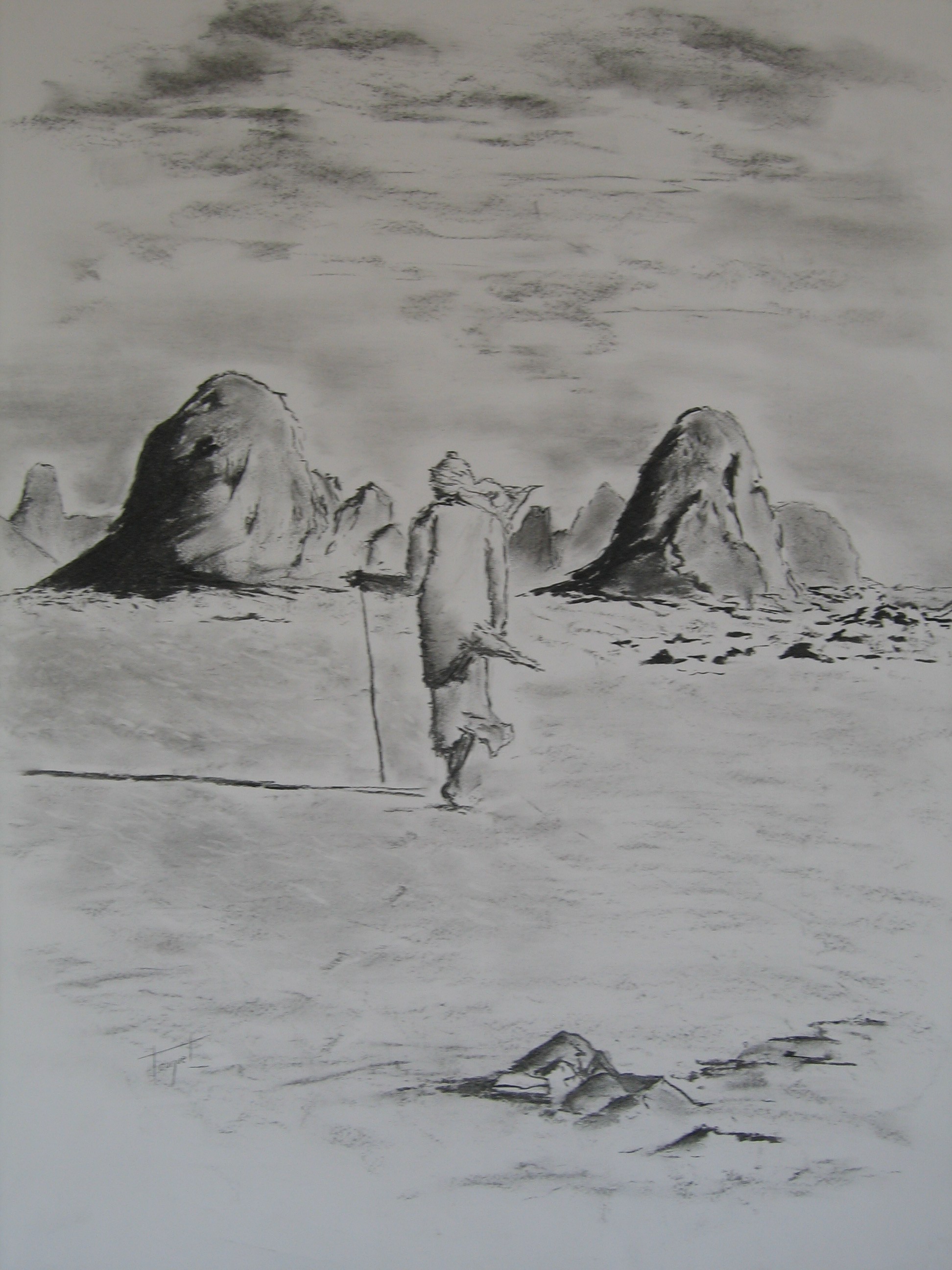 F001 Marche dans le desert