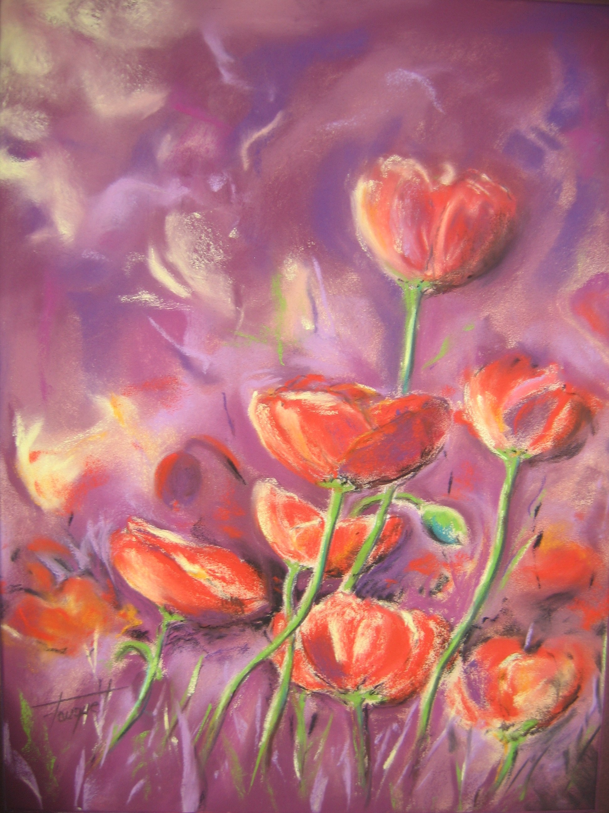 P026 Coquelicots