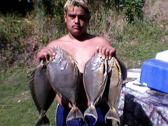 Photo 0037
