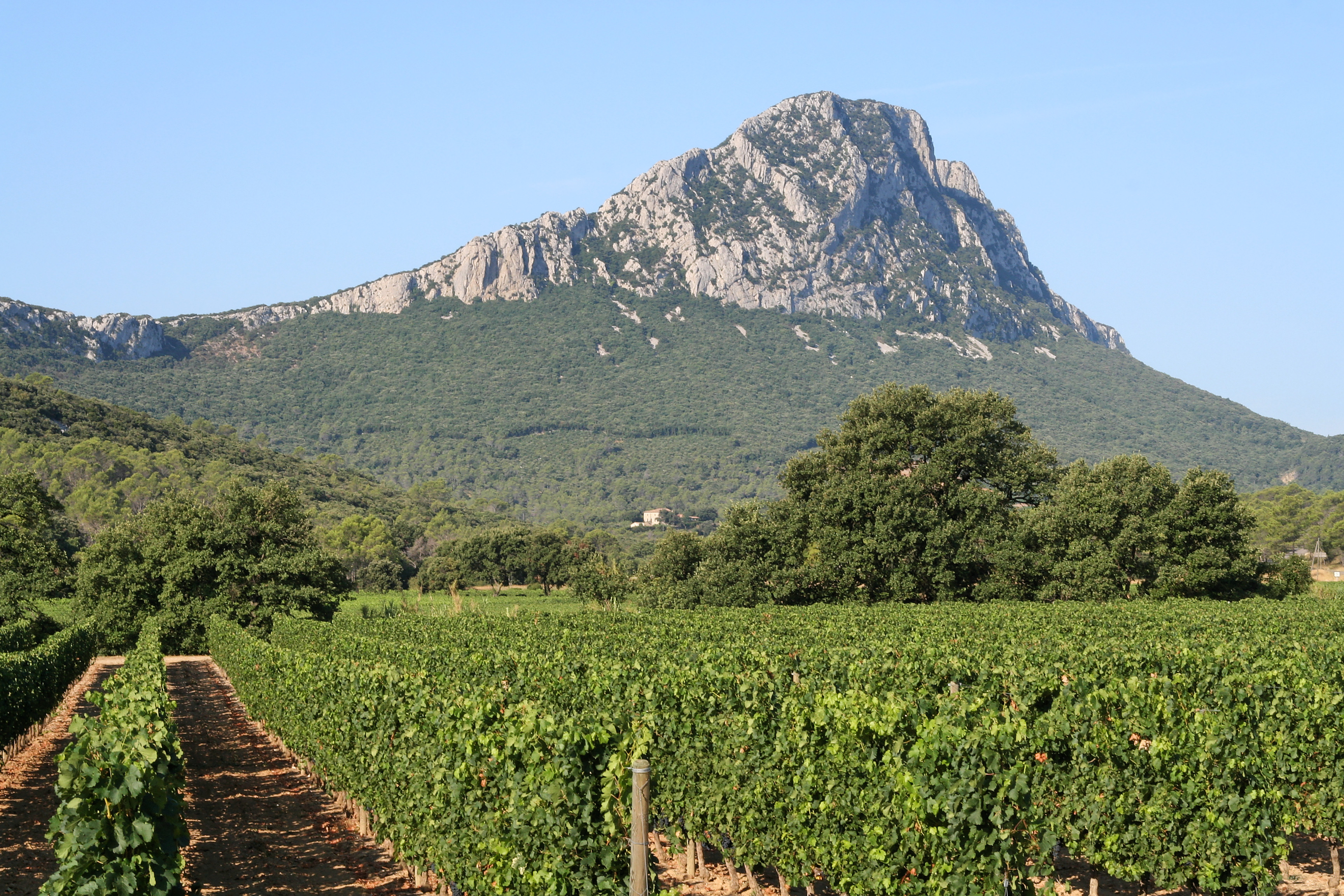 Pic saint loup