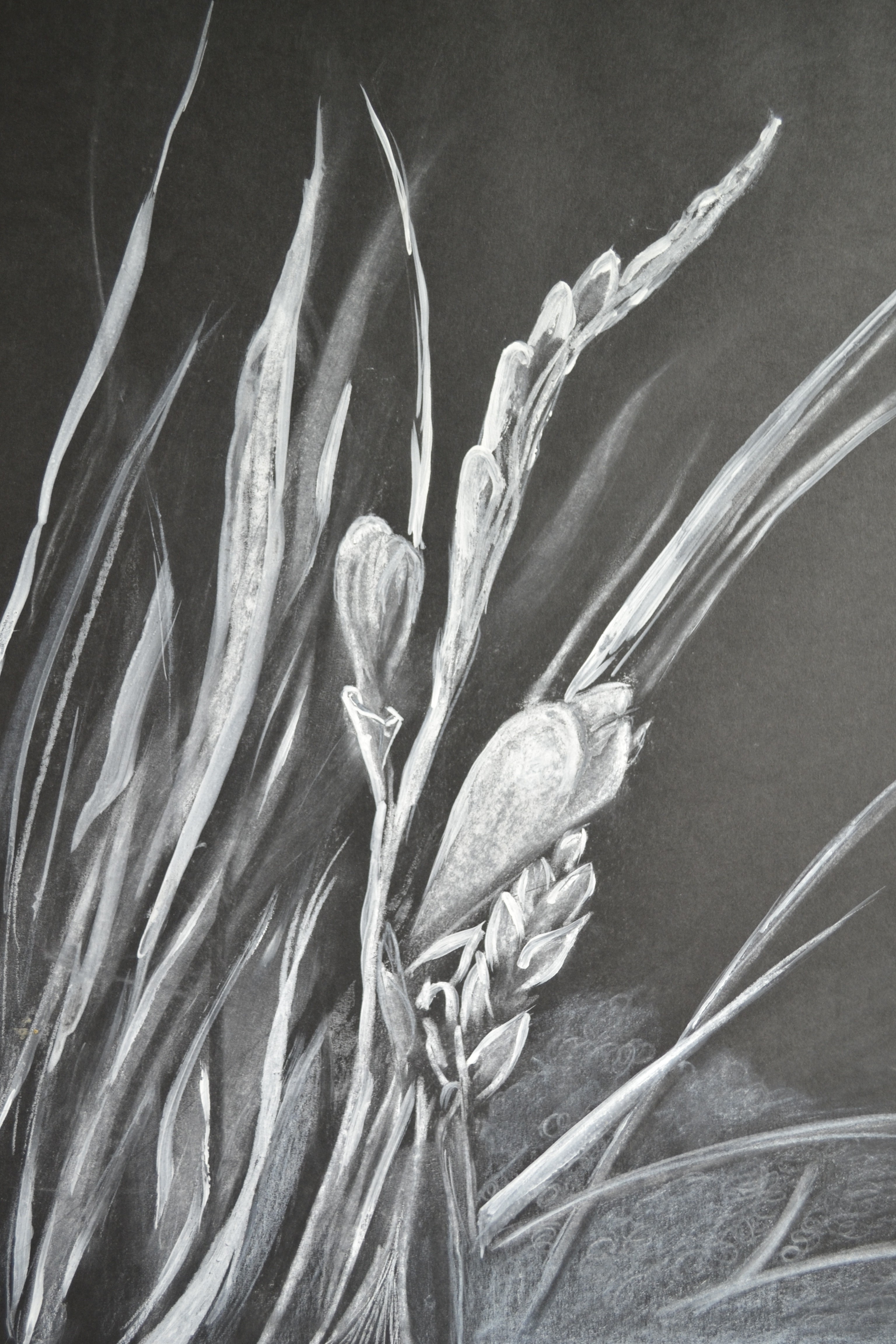 Vegetation b w