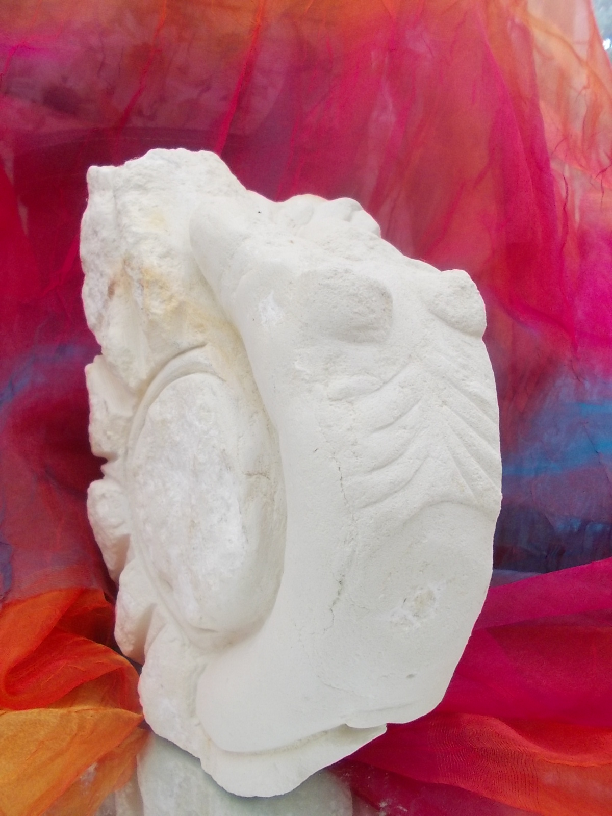                  FEMME  SOLEIL  -  FEMME  SIRÈNE