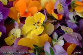 Images