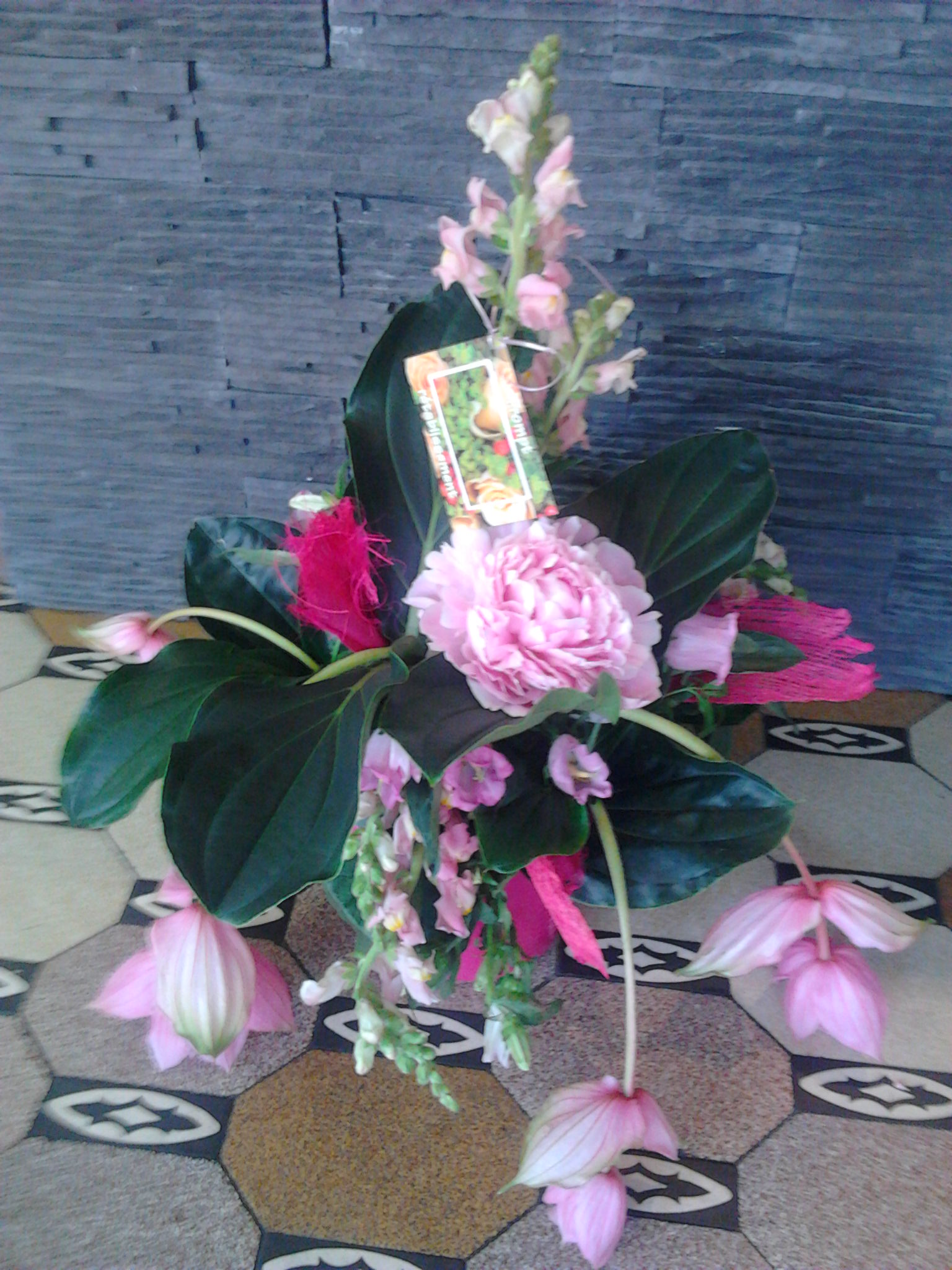Photo0823