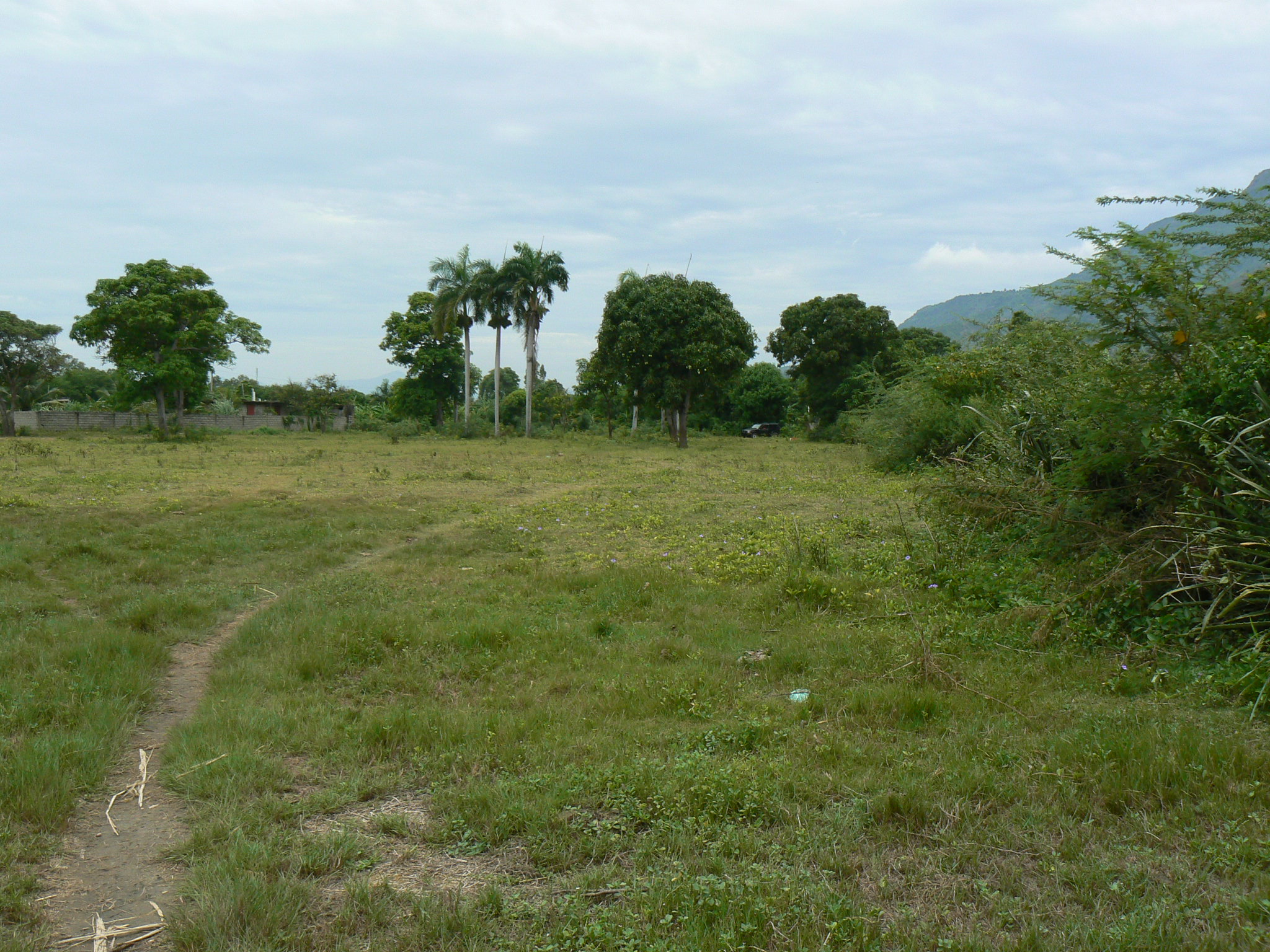 P1050664
