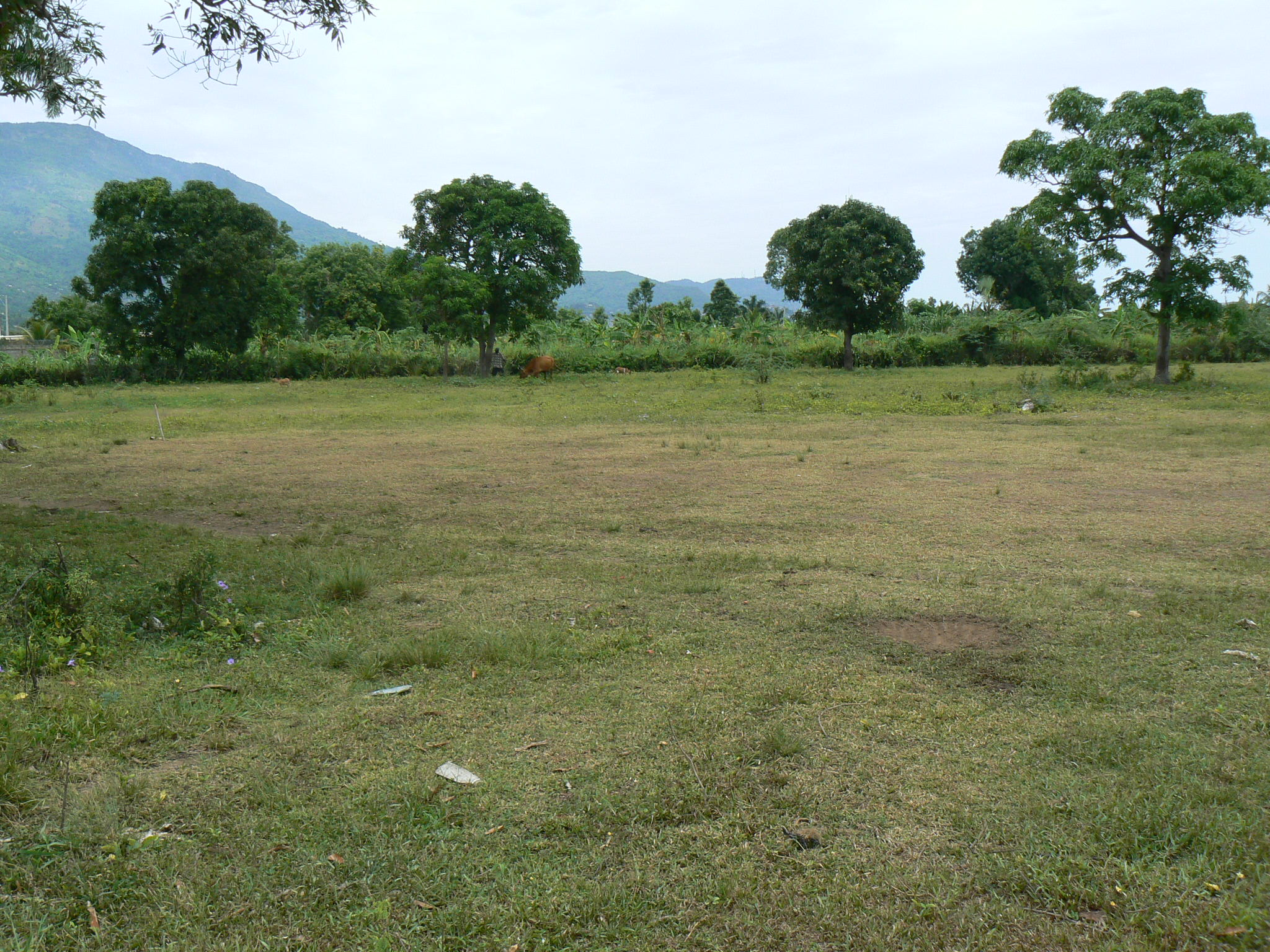 P1050671