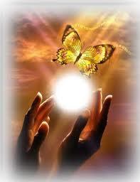 949074744 envoldupapillon