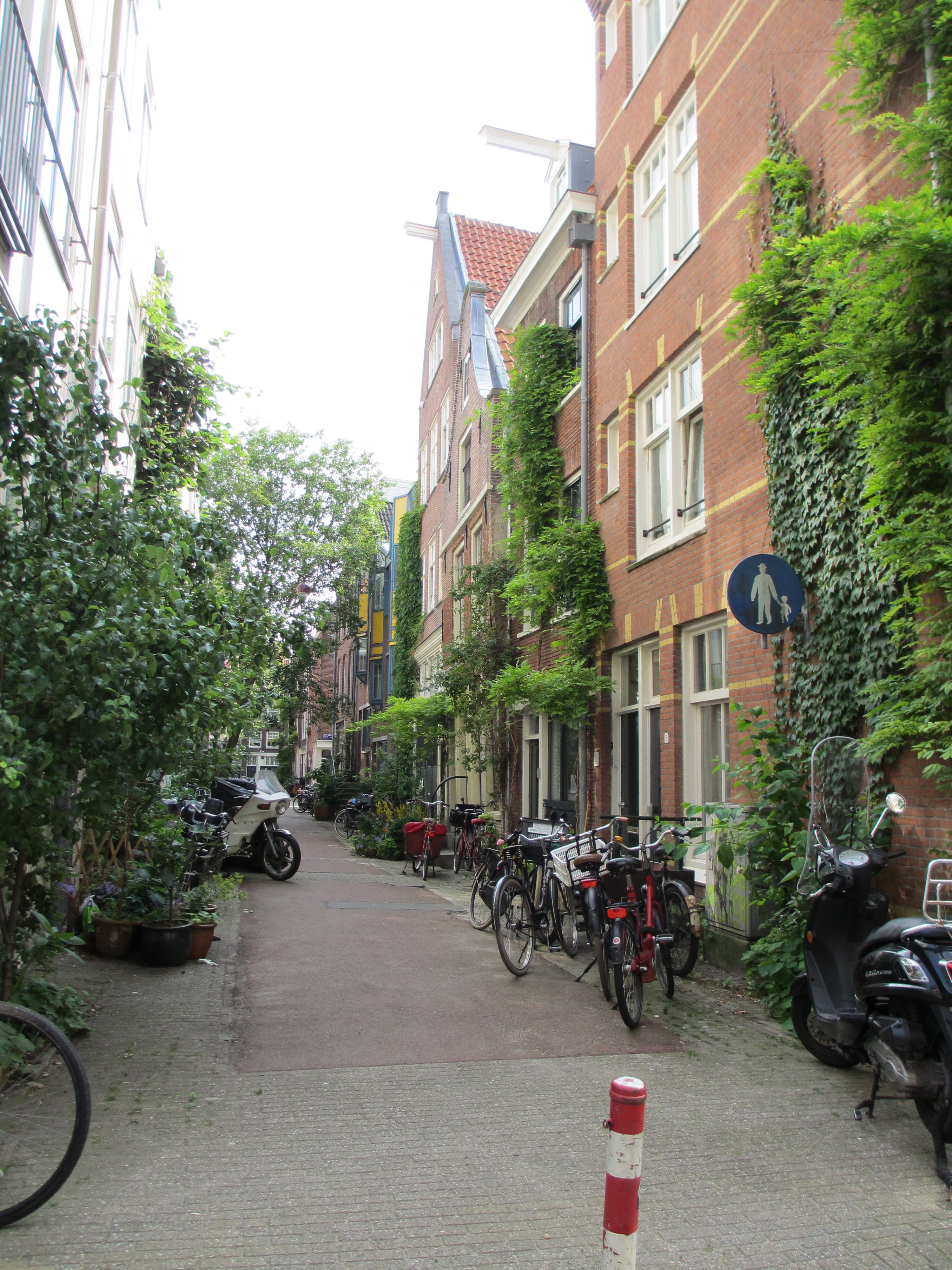 IMG 0118