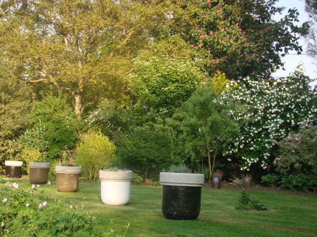 Dsc08608